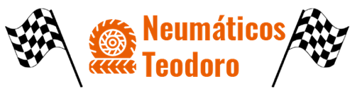 neumaticos-teodoro-banderas